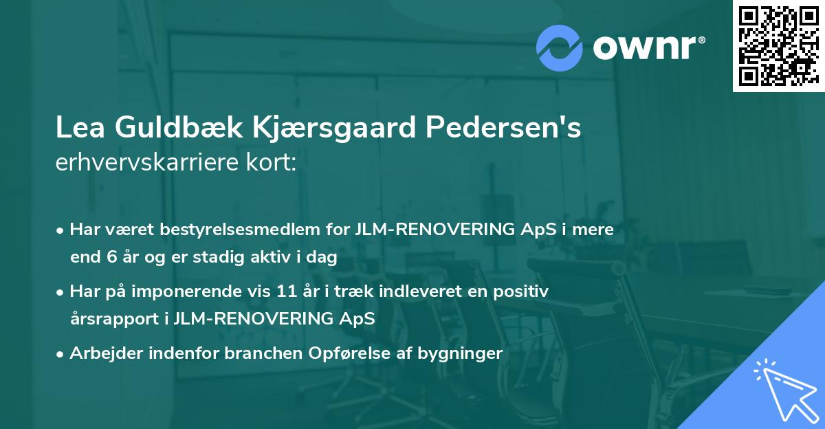 Lea Guldbæk Kjærsgaard Pedersen's erhvervskarriere kort