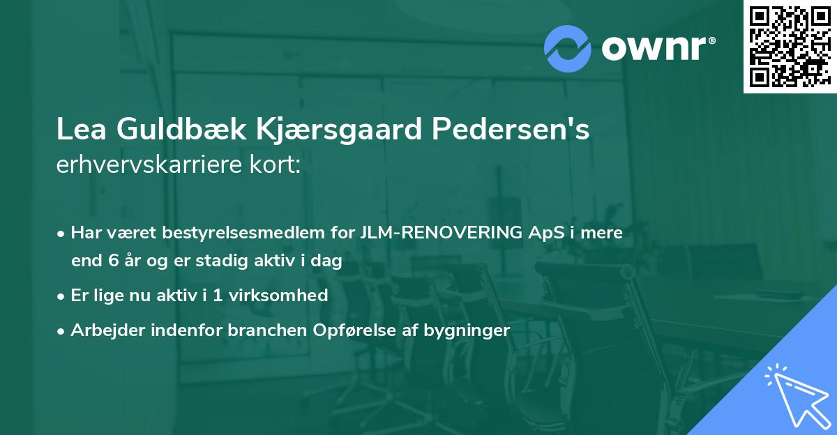 Lea Guldbæk Kjærsgaard Pedersen's erhvervskarriere kort