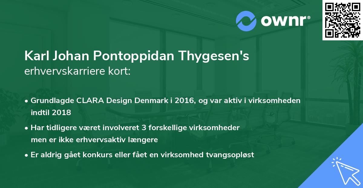 Karl Johan Pontoppidan Thygesen's erhvervskarriere kort