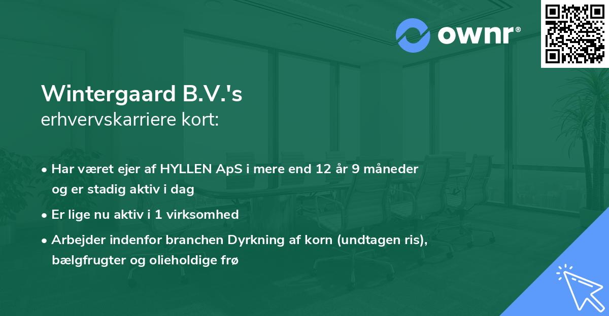 Wintergaard B.V.'s erhvervskarriere kort