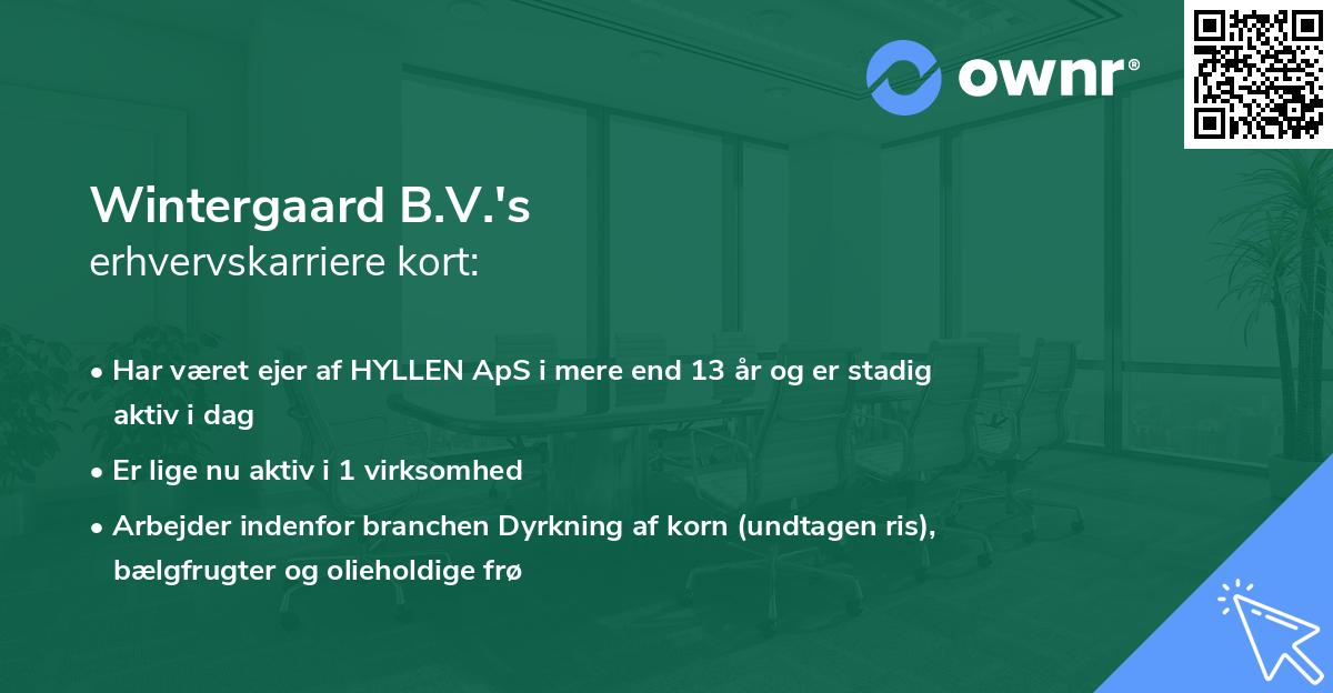 Wintergaard B.V.'s erhvervskarriere kort