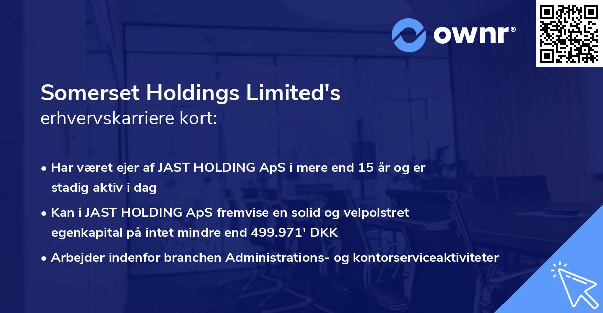 Somerset Holdings Limited's erhvervskarriere kort