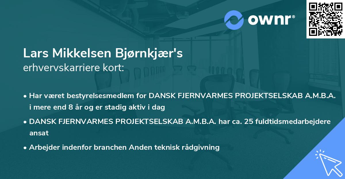 Lars Mikkelsen Bjørnkjær's erhvervskarriere kort