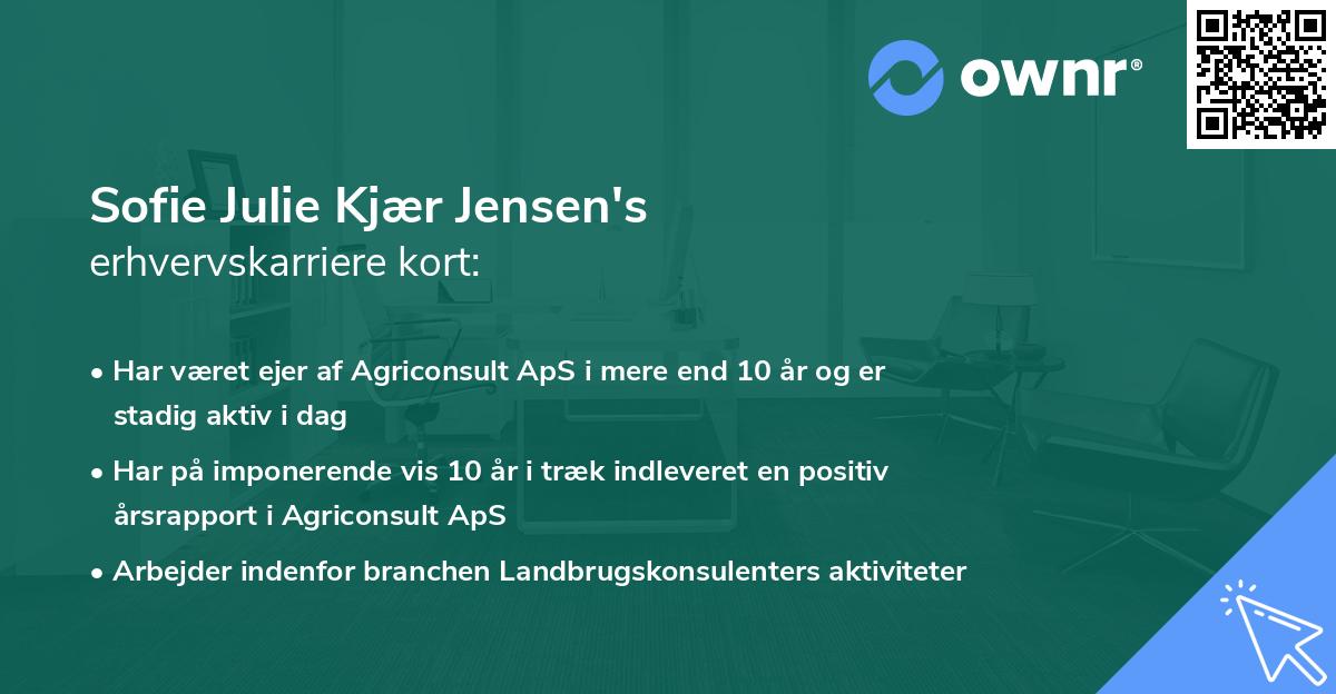 Sofie Julie Kjær Jensen's erhvervskarriere kort