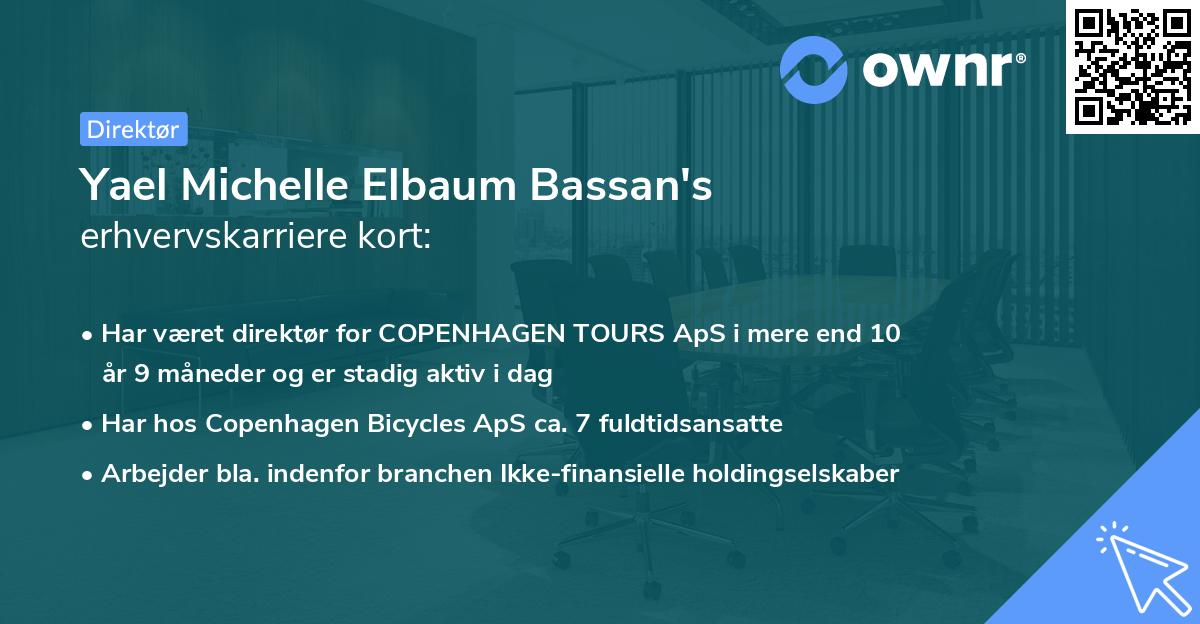 Yael Michelle Elbaum Bassan's erhvervskarriere kort