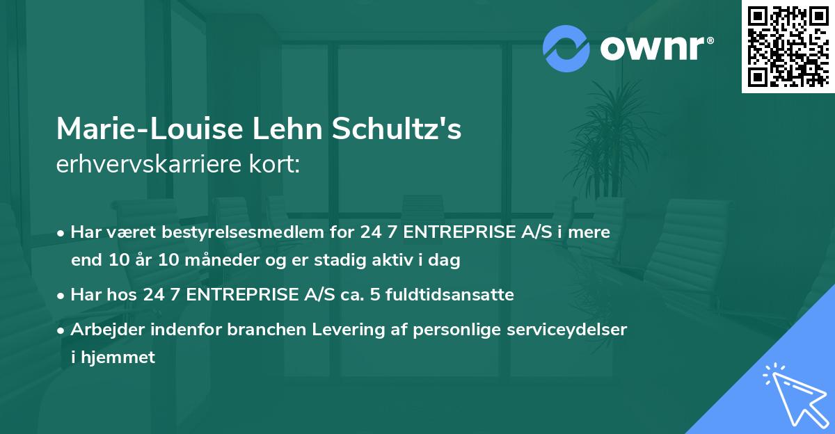 Marie-Louise Lehn Schultz's erhvervskarriere kort