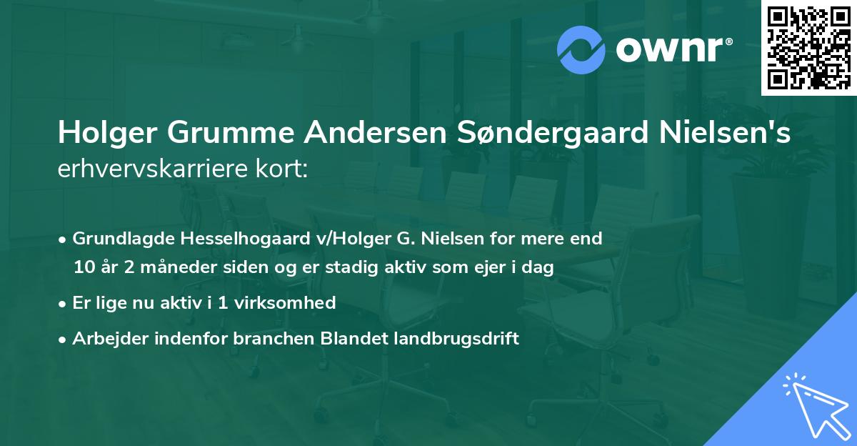 Holger Grumme Andersen Søndergaard Nielsen's erhvervskarriere kort