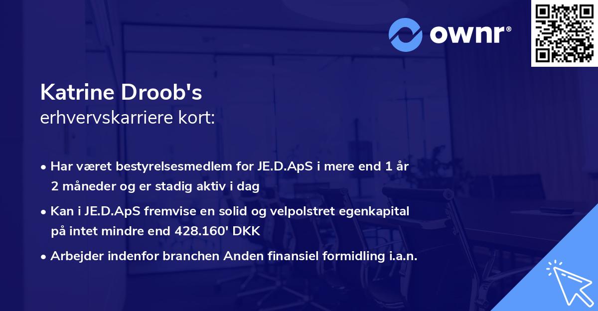 Katrine Droob's erhvervskarriere kort