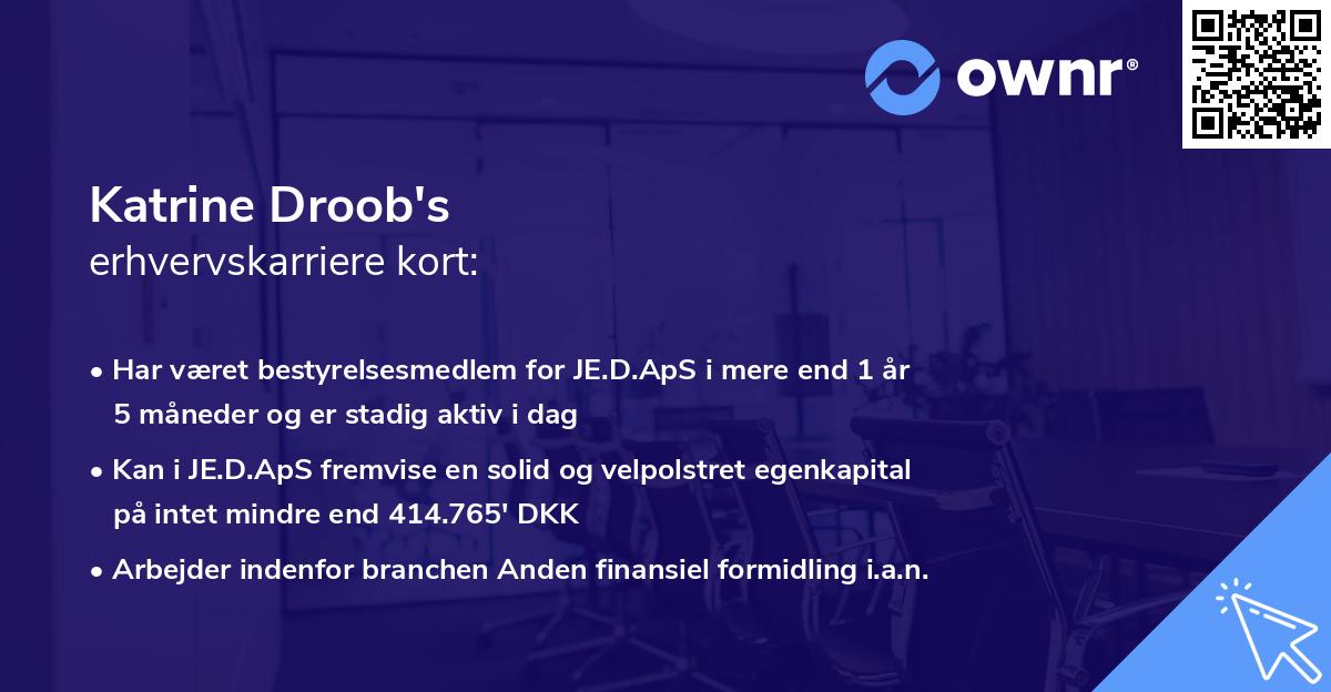 Katrine Droob's erhvervskarriere kort