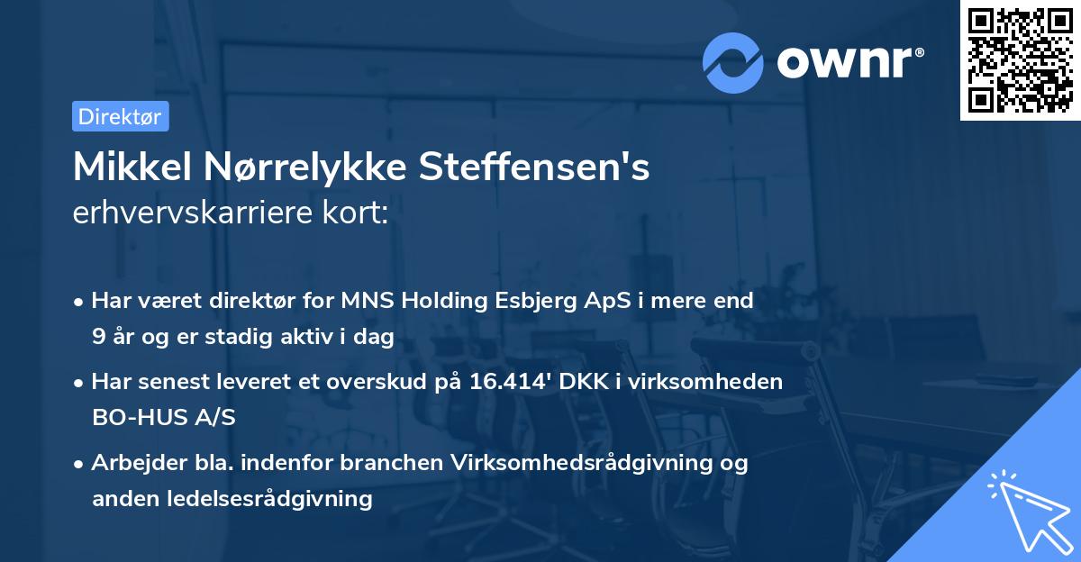 Mikkel Nørrelykke Steffensen's erhvervskarriere kort