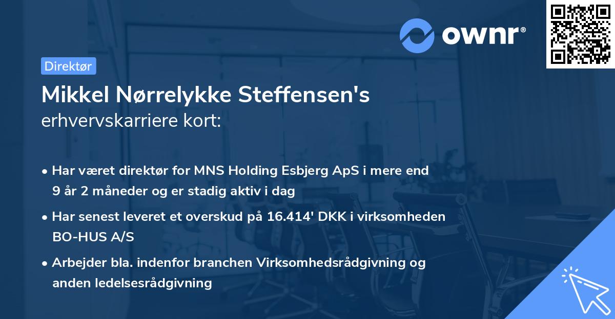 Mikkel Nørrelykke Steffensen's erhvervskarriere kort