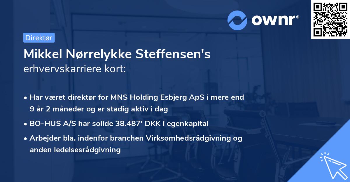 Mikkel Nørrelykke Steffensen's erhvervskarriere kort
