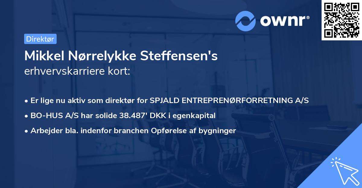Mikkel Nørrelykke Steffensen's erhvervskarriere kort