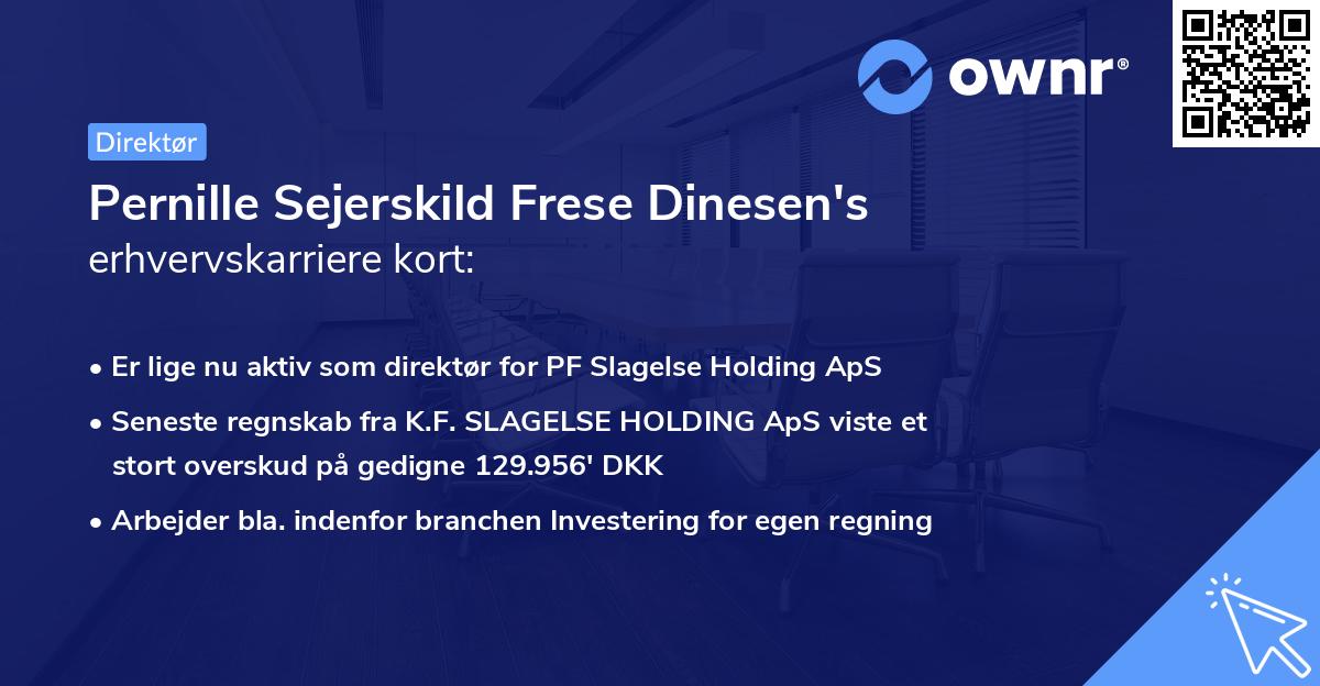 Pernille Sejerskild Frese Dinesen's erhvervskarriere kort