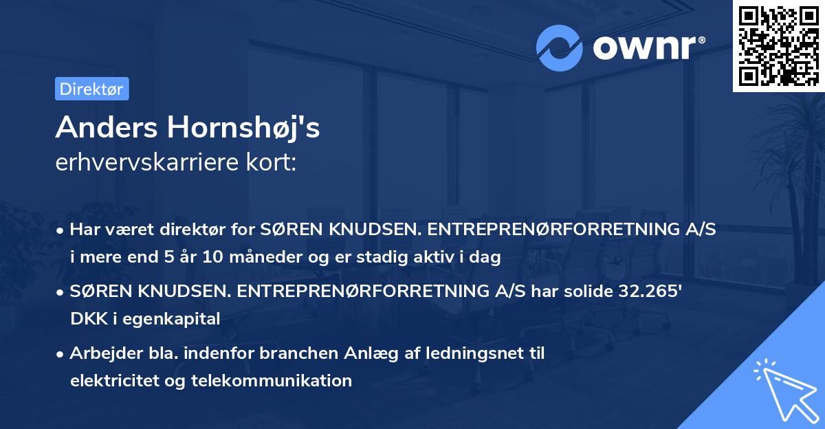 Anders Hornshøj's erhvervskarriere kort