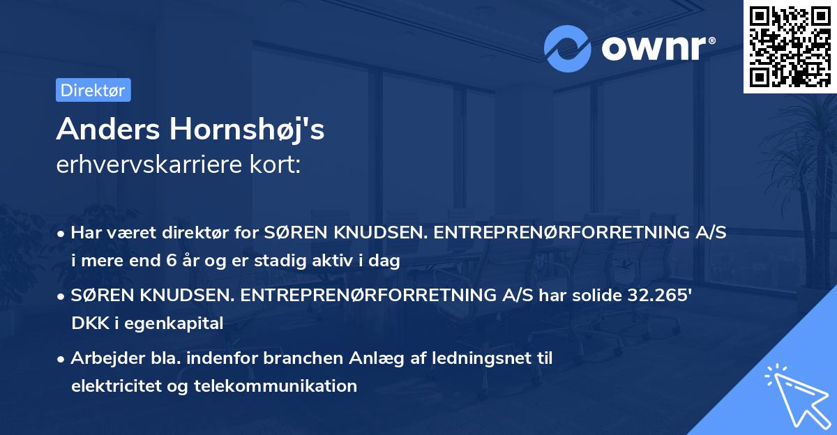 Anders Hornshøj's erhvervskarriere kort