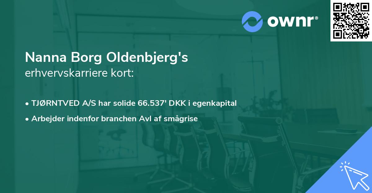 Nanna Borg Oldenbjerg's erhvervskarriere kort