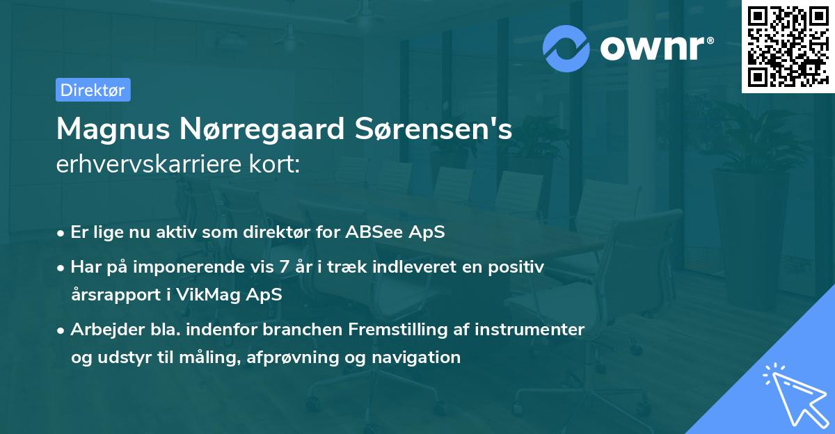 Magnus Nørregaard Sørensen's erhvervskarriere kort