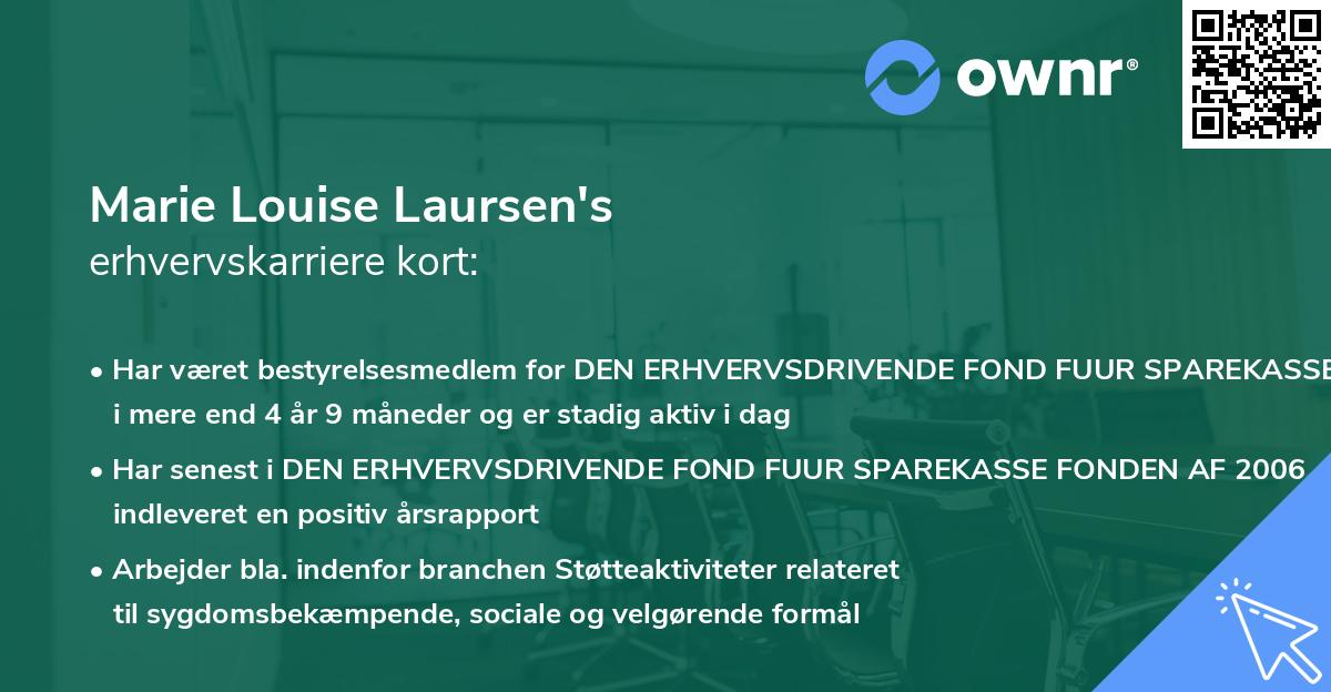 Marie Louise Laursen's erhvervskarriere kort