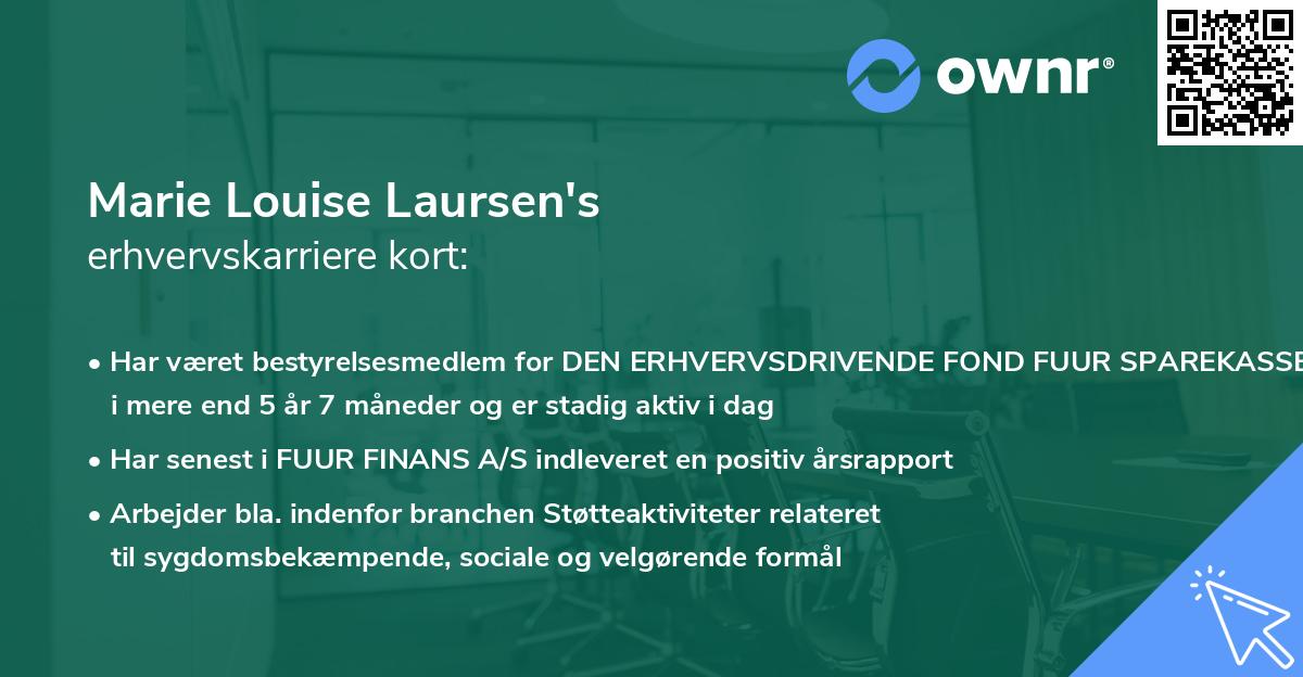 Marie Louise Laursen's erhvervskarriere kort