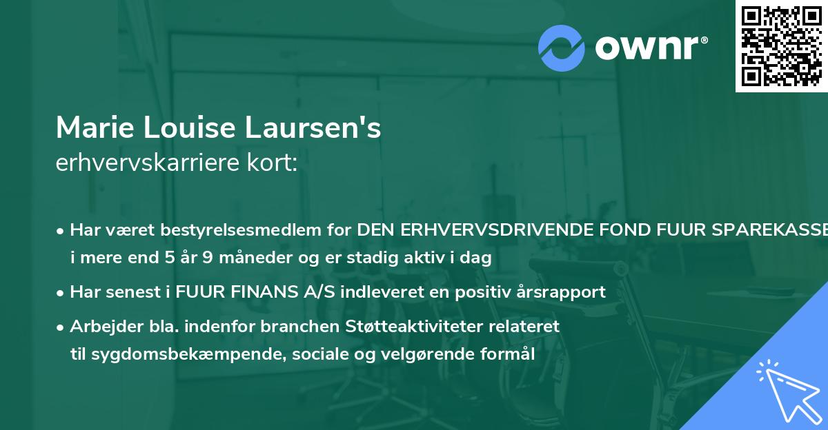 Marie Louise Laursen's erhvervskarriere kort