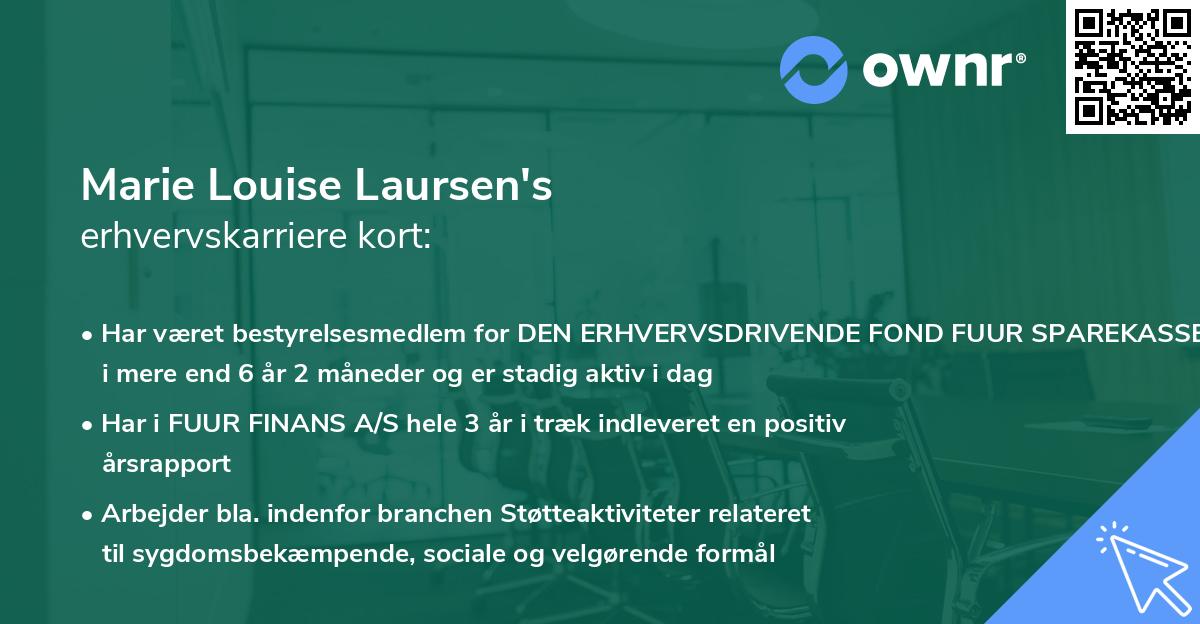 Marie Louise Laursen's erhvervskarriere kort