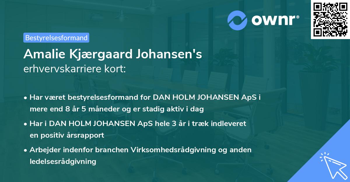 Amalie Kjærgaard Johansen's erhvervskarriere kort