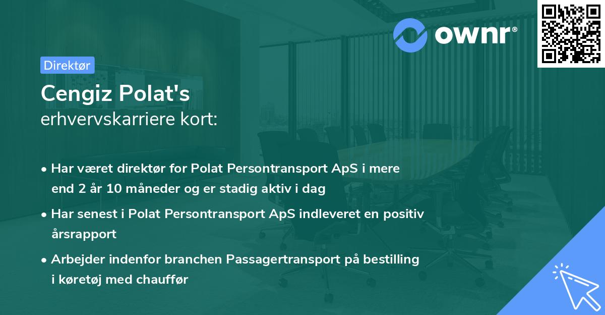 Cengiz Polat's erhvervskarriere kort
