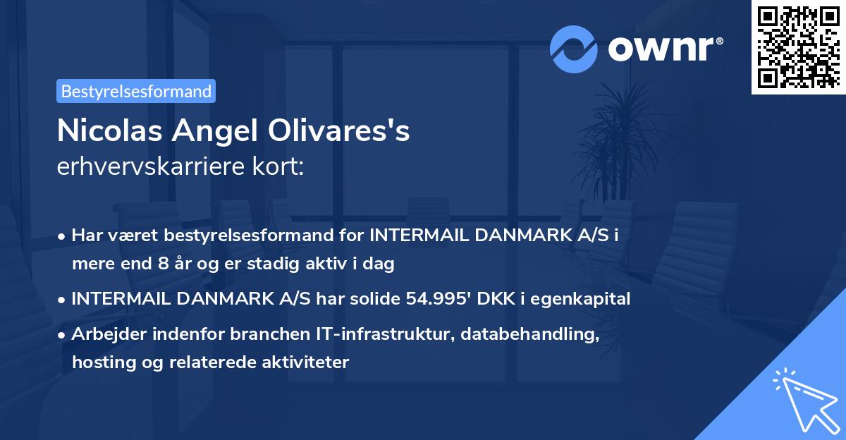 Nicolas Angel Olivares's erhvervskarriere kort