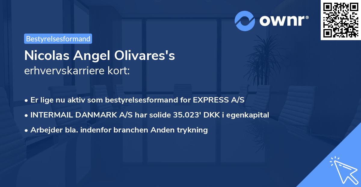 Nicolas Angel Olivares's erhvervskarriere kort
