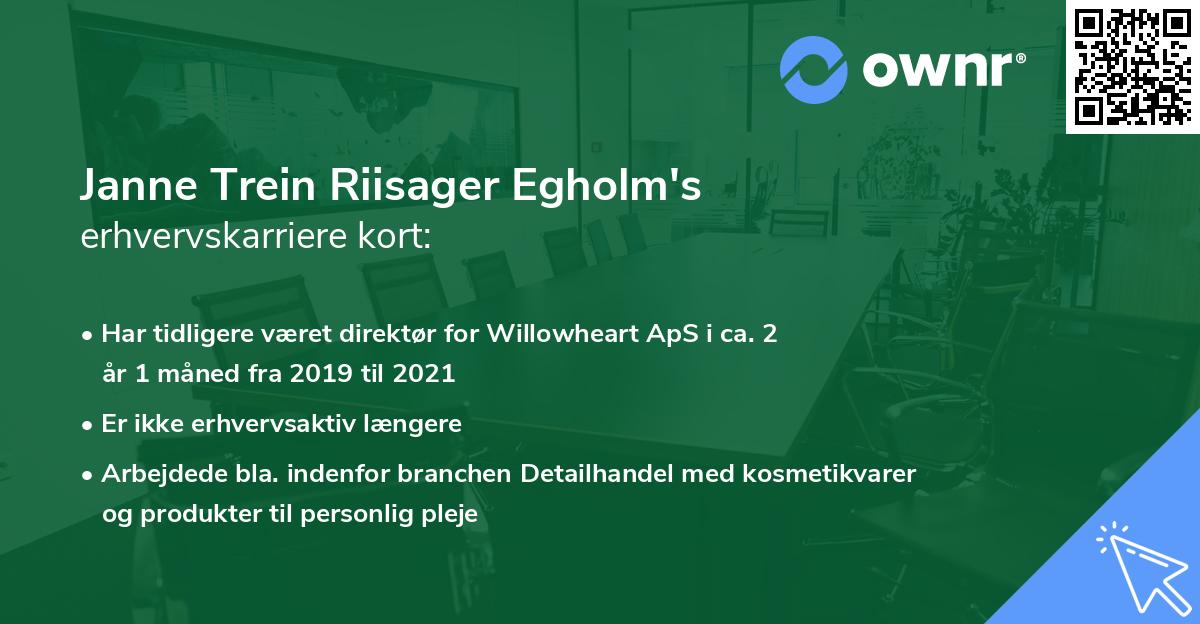 Janne Trein Riisager Egholm's erhvervskarriere kort