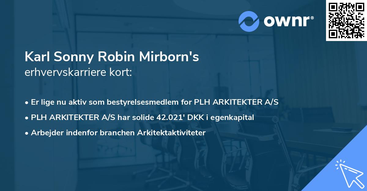 Karl Sonny Robin Mirborn's erhvervskarriere kort
