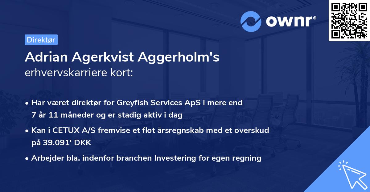 Adrian Agerkvist Aggerholm's erhvervskarriere kort