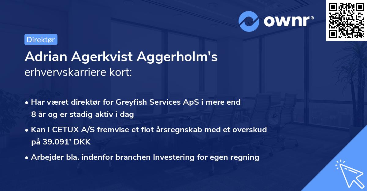 Adrian Agerkvist Aggerholm's erhvervskarriere kort