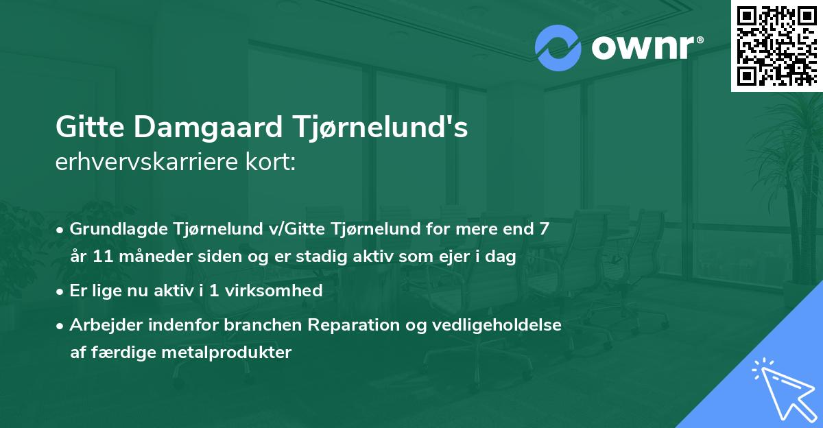Gitte Damgaard Tjørnelund's erhvervskarriere kort