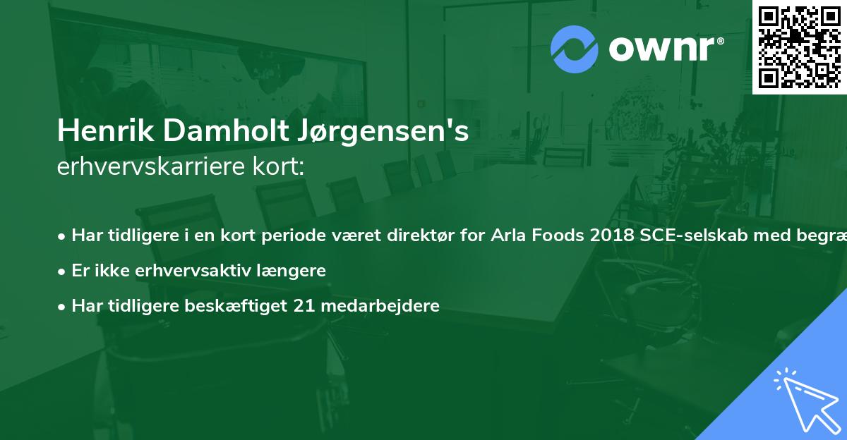 Henrik Damholt Jørgensen's erhvervskarriere kort