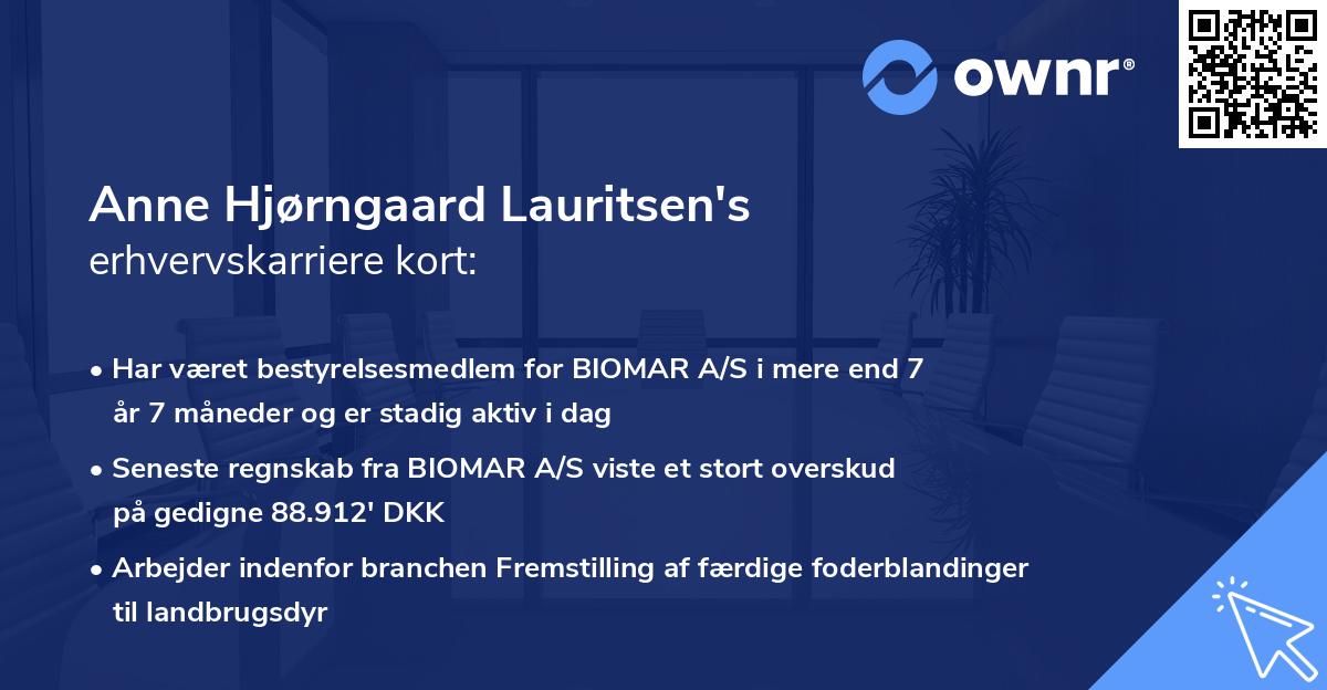 Anne Hjørngaard Lauritsen's erhvervskarriere kort