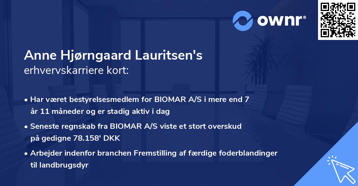 Anne Hjørngaard Lauritsen's erhvervskarriere kort