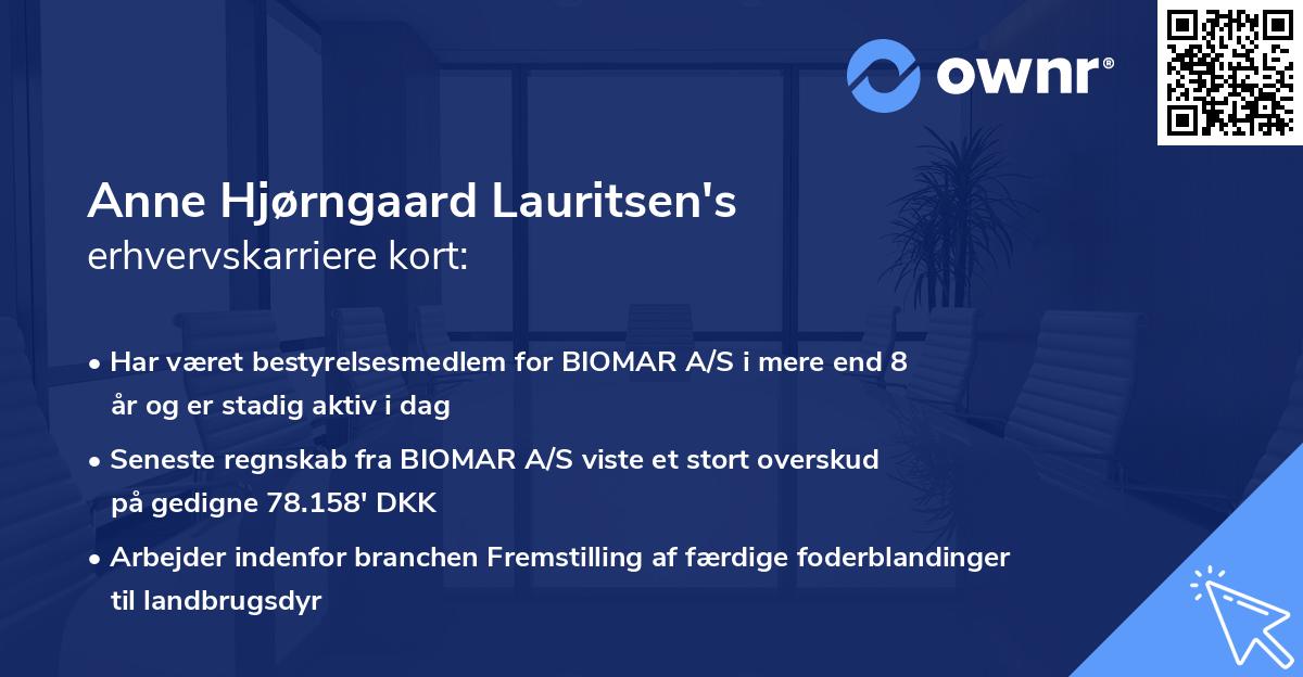 Anne Hjørngaard Lauritsen's erhvervskarriere kort