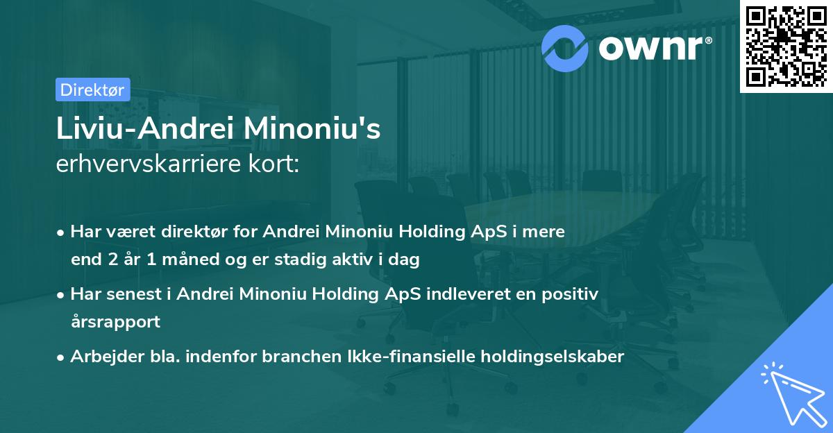Liviu-Andrei Minoniu's erhvervskarriere kort