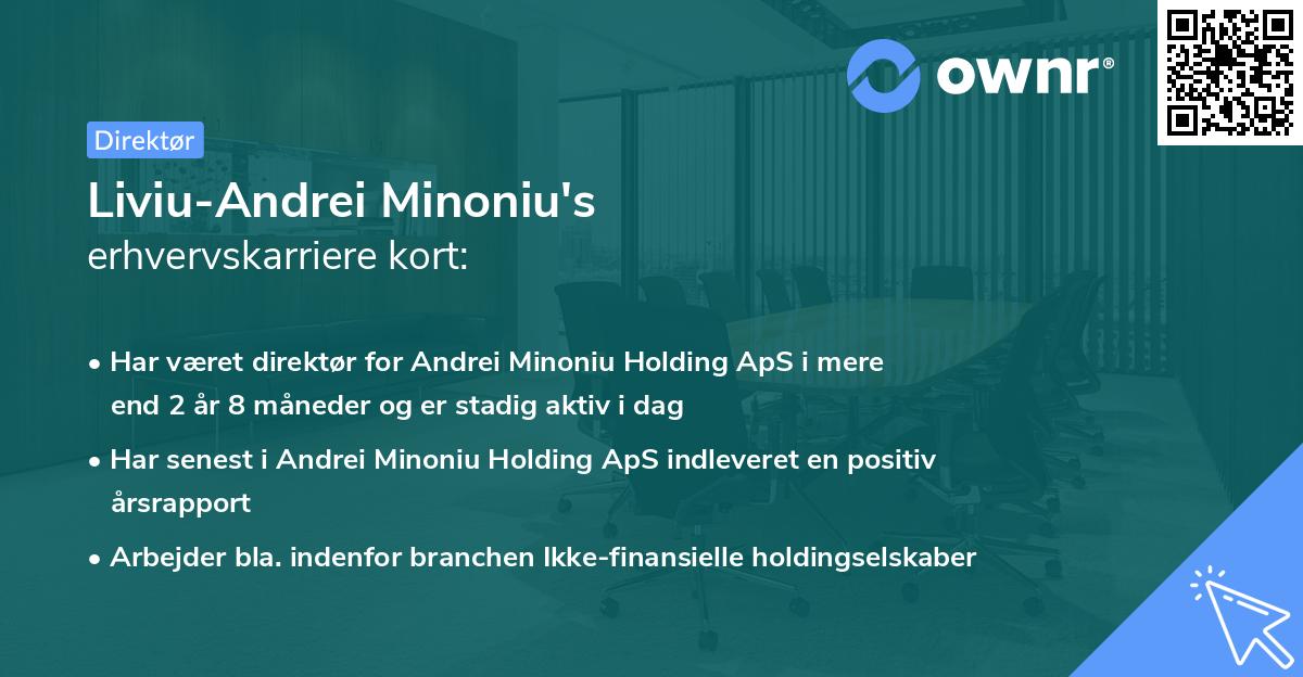 Liviu-Andrei Minoniu's erhvervskarriere kort
