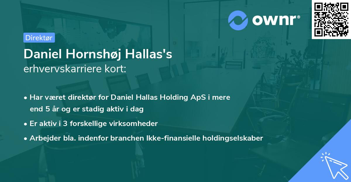 Daniel Hornshøj Hallas's erhvervskarriere kort