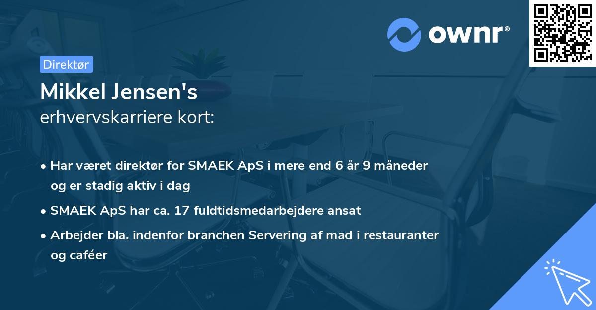 Mikkel Jensen's erhvervskarriere kort