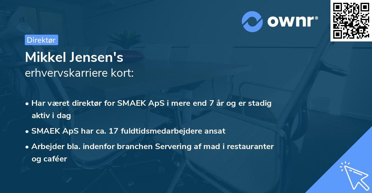 Mikkel Jensen's erhvervskarriere kort