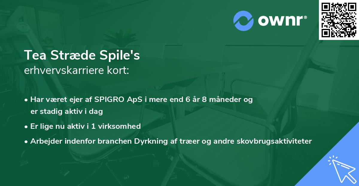 Tea Stræde Spile's erhvervskarriere kort