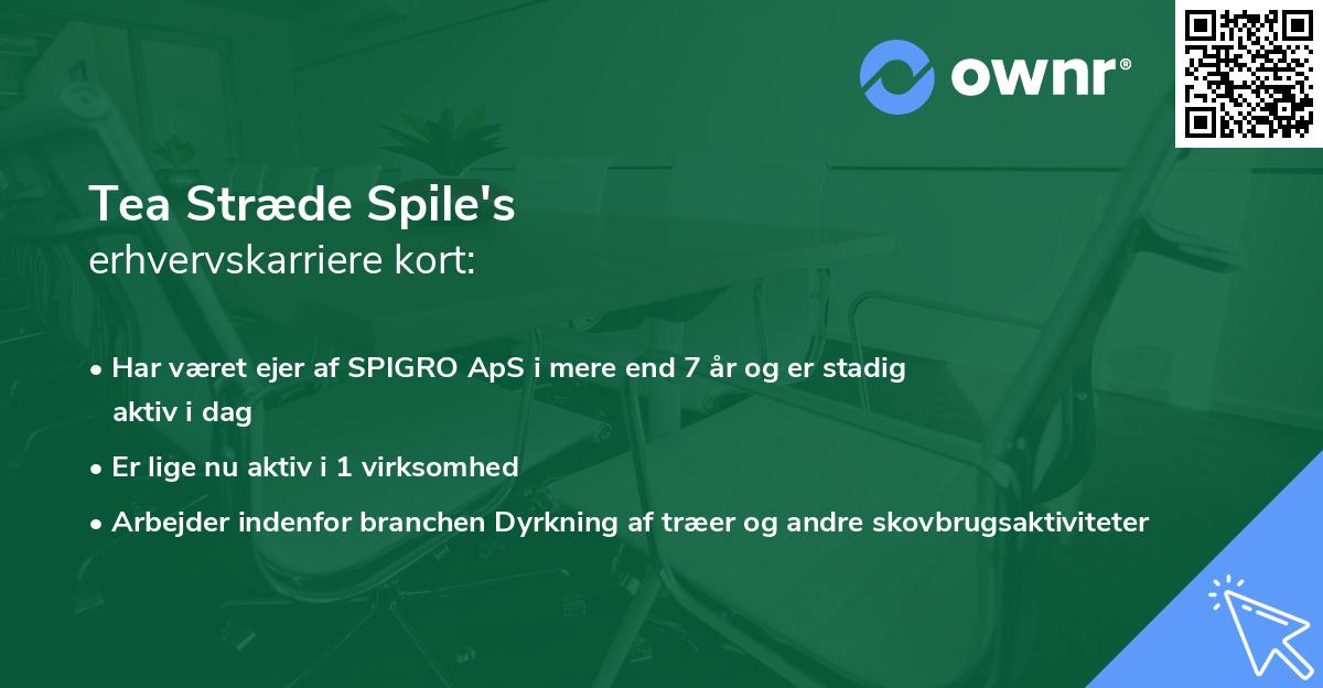 Tea Stræde Spile's erhvervskarriere kort