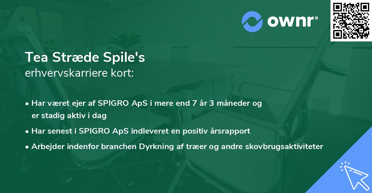 Tea Stræde Spile's erhvervskarriere kort