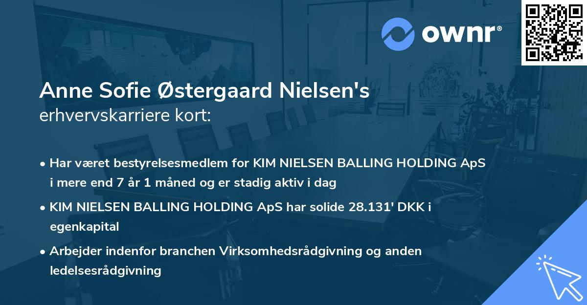 Anne Sofie Østergaard Nielsen's erhvervskarriere kort