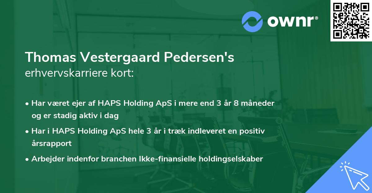 Thomas Vestergaard Pedersen's erhvervskarriere kort