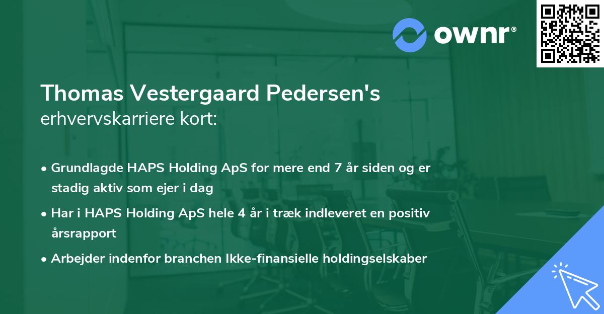 Thomas Vestergaard Pedersen's erhvervskarriere kort